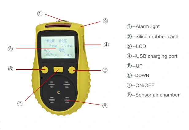 Safegas Co Gas Detector/Analyzer Gas Sensor Alarm Industrial Gas Meter